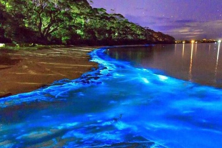 Luxury Escape & Hidden Gems – Premium Day & Night Experience