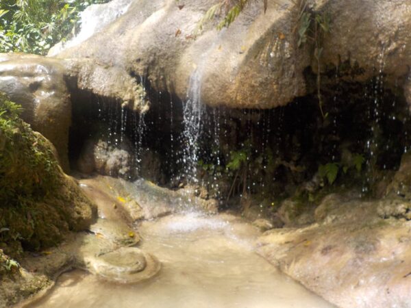 Konoko Falls & Botanical Park Tour (Ocho Rios) - Image 3