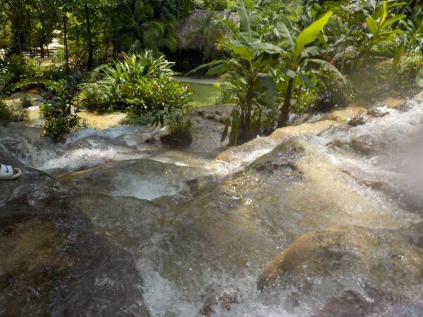 Konoko Falls & Botanical Park Tour (Ocho Rios) - Image 2