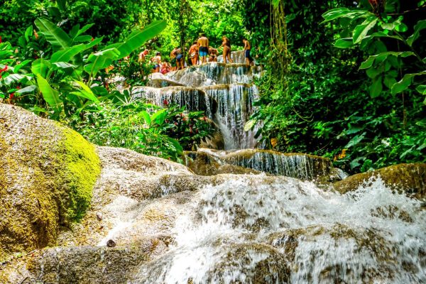 Konoko Falls & Botanical Park Tour (Ocho Rios)
