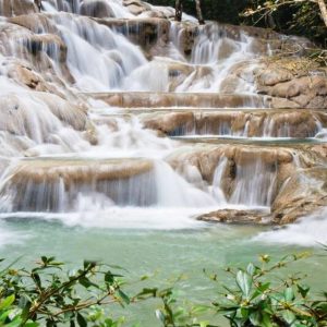 Nature & Culture Experience – Half-Day Tour (Ocho Rios)