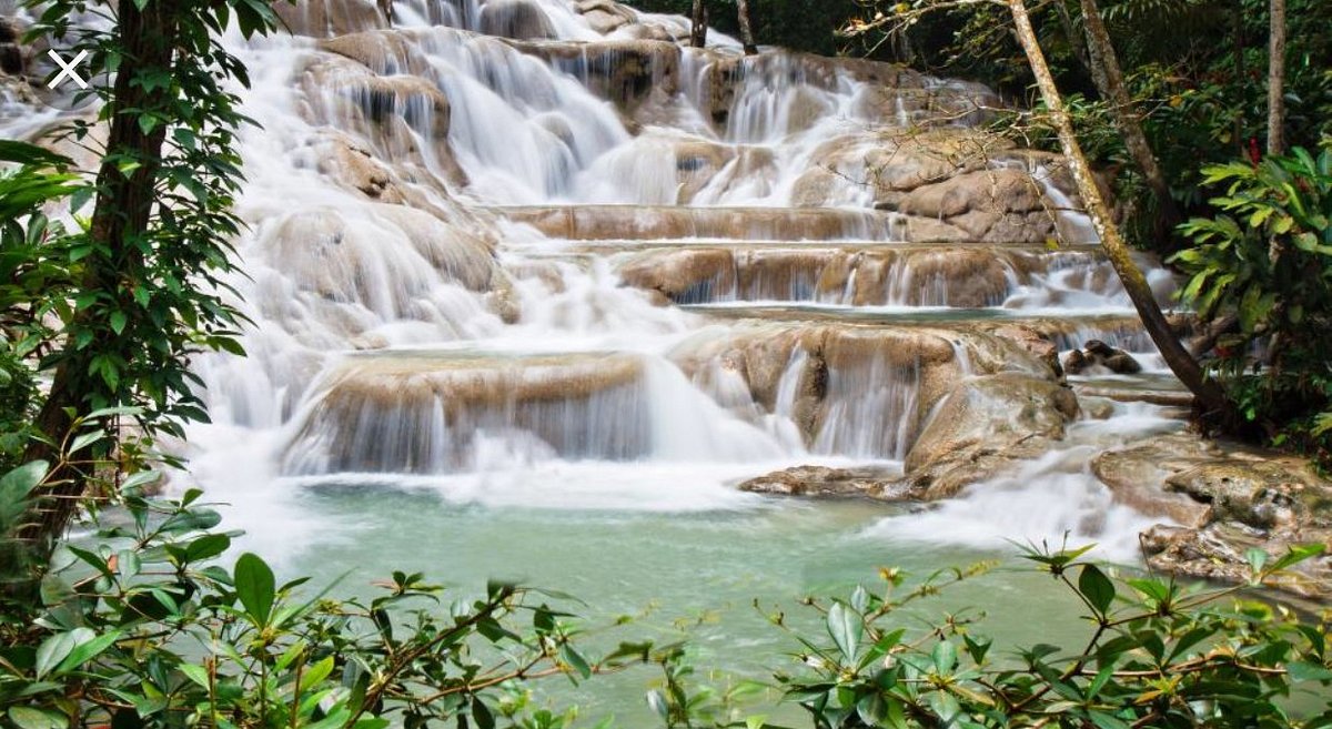 Nature & Culture Experience – Half-Day Tour (Ocho Rios)