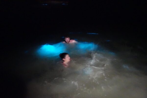 Luminous Lagoon Night Experience (Falmouth) - Image 3