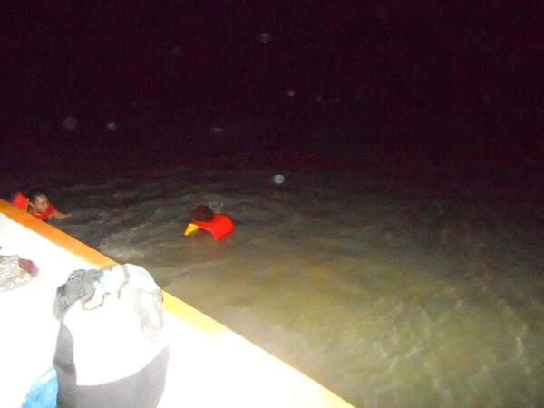 Luminous Lagoon Night Experience (Falmouth) - Image 2