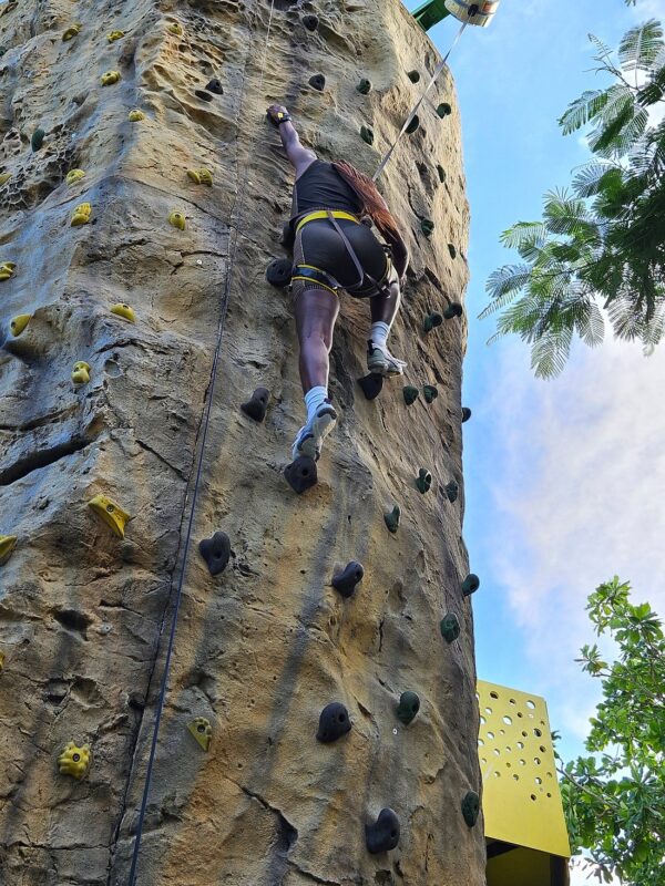 Mystic Mountain Experience – Adventure Tour (Ocho Rios) - Image 6