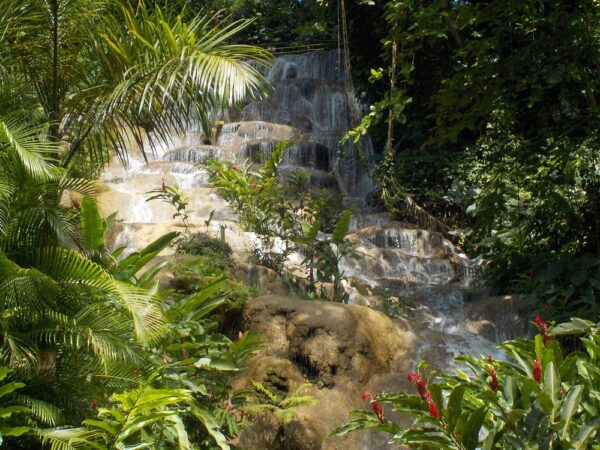 Konoko Falls & Botanical Park Tour (Ocho Rios) - Image 4